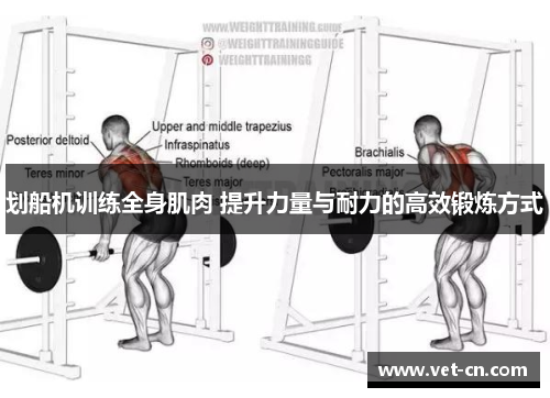 划船机训练全身肌肉 提升力量与耐力的高效锻炼方式