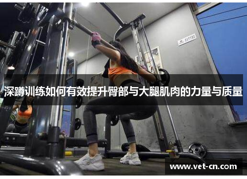 深蹲训练如何有效提升臀部与大腿肌肉的力量与质量