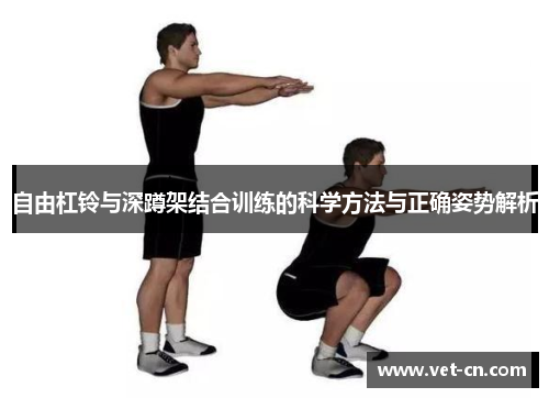 自由杠铃与深蹲架结合训练的科学方法与正确姿势解析