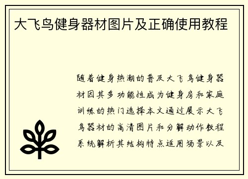 大飞鸟健身器材图片及正确使用教程