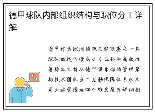 德甲球队内部组织结构与职位分工详解